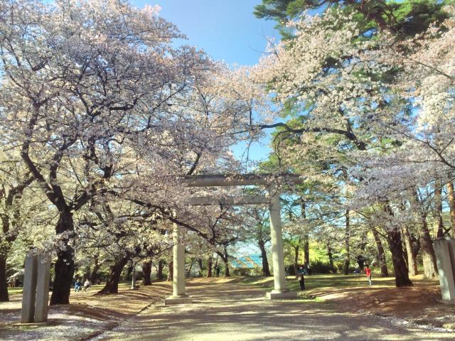 二 大宮 公園 第