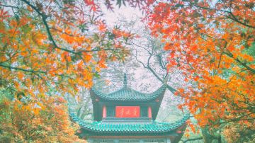 长沙 爱晚亭