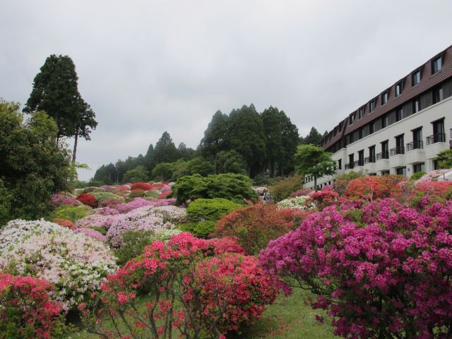 箱根芦之汤花园
