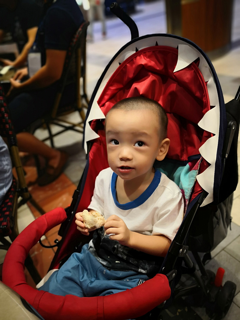 天津出发皇家加勒比赞礼号带1岁9个月的宝宝