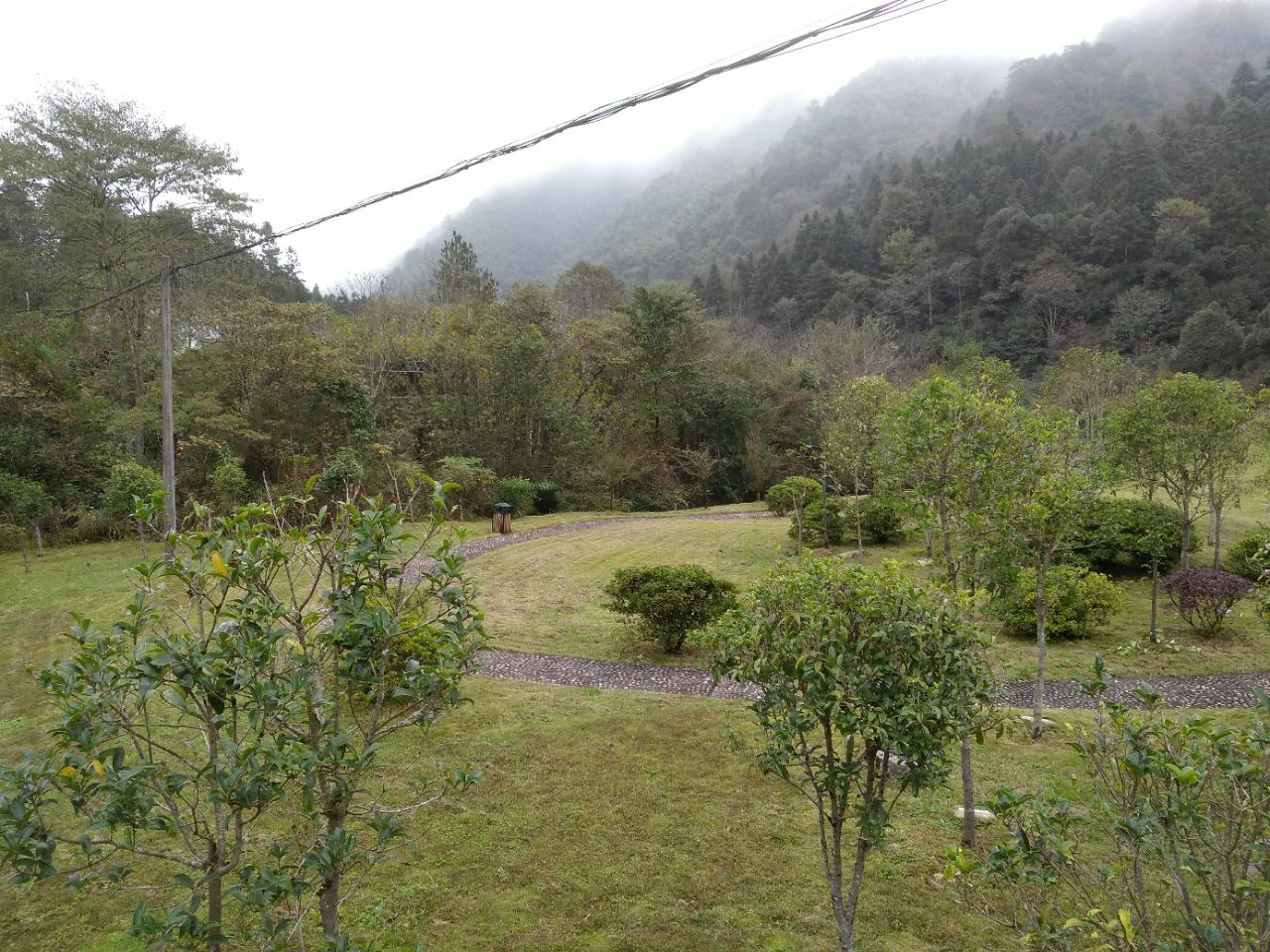 中国井冈山干部学院学院植树纪念...