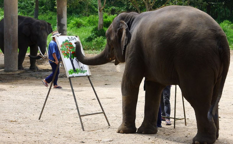 100411000000r39yk5366_R_800_10000_Q90.jpg?proc=autoorient