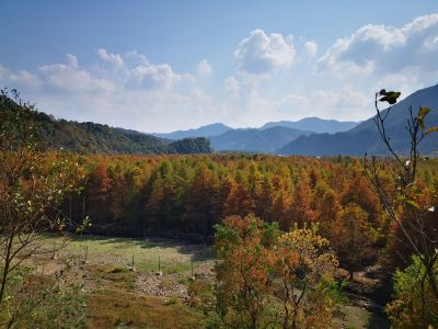 宣城宁国板桥自然保护区
