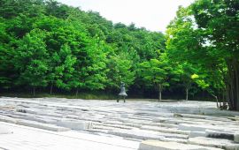 郡山市天气预报 历史气温 旅游指数 郡山市一周天气预报 携程攻略