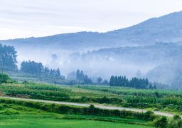 travel picture