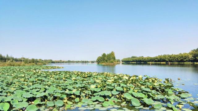 通河县月牙湖公园