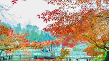 栖霞山3