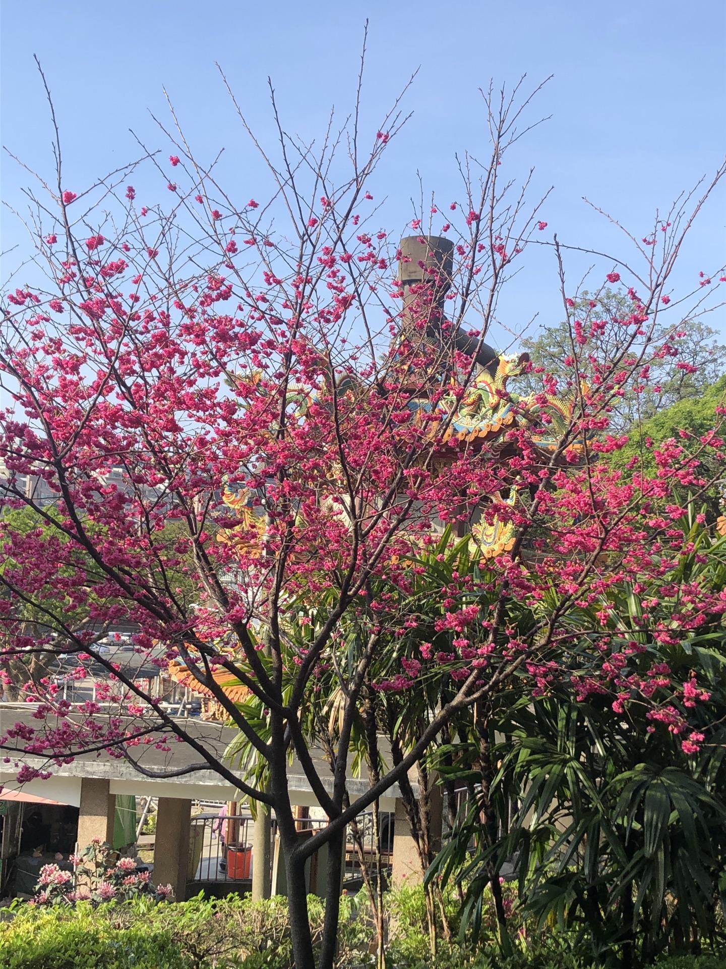 寿山岩观音寺