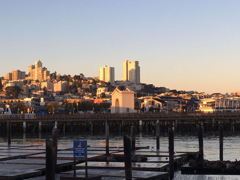 10060m000000dlk9z0E90_R_800_10000_Q90.jpg?proc=autoorient