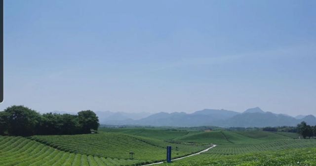 金华九峰牧场攻略,金华九峰牧场门票/游玩攻略/地址/图片/门票价格