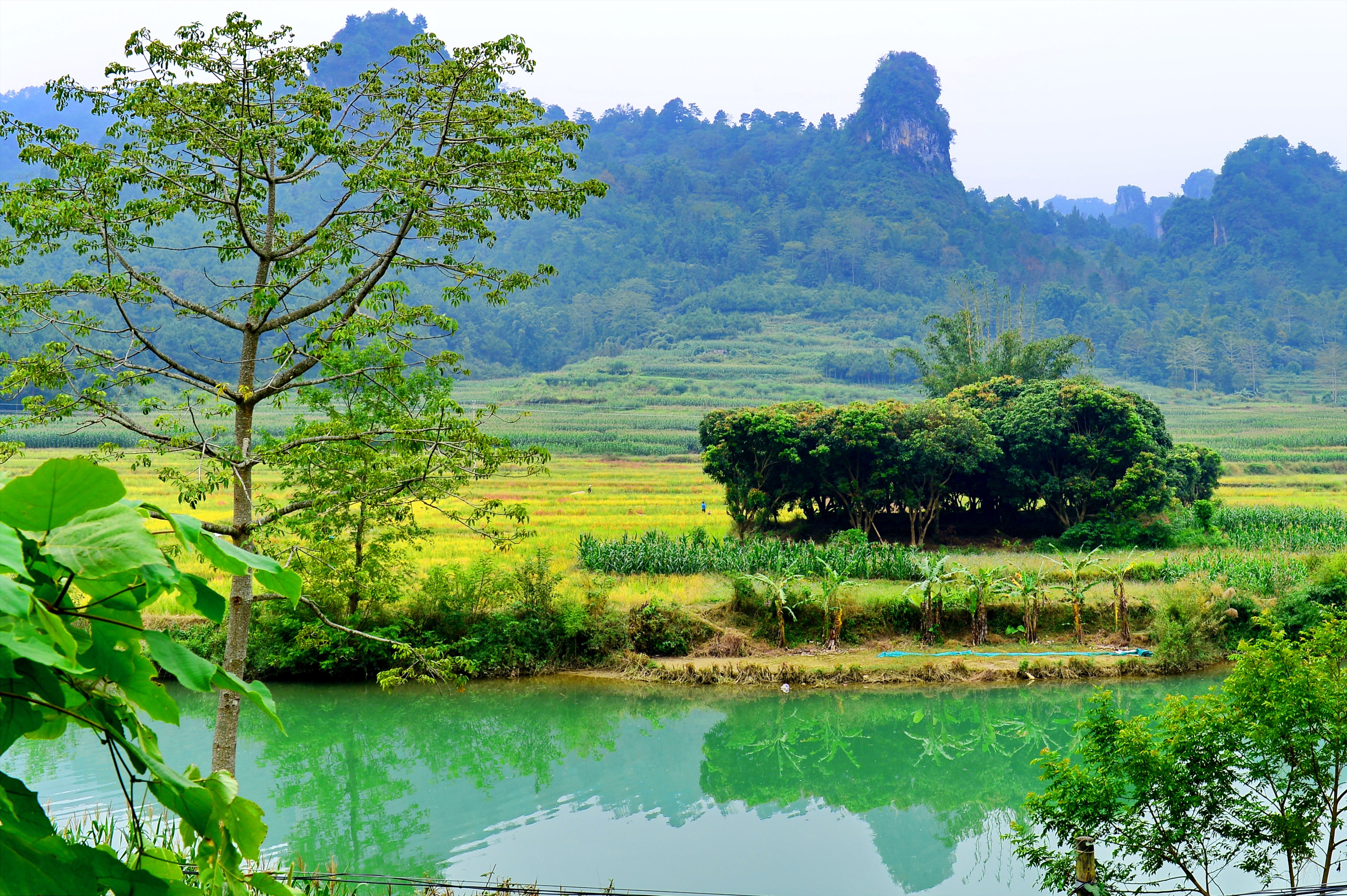 龙洪自然风景区