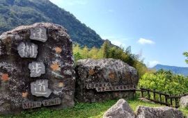 阿里山乡阿里山乡迷糊步道天气预报 历史气温 旅游指数 阿里山乡迷糊步道一周天气预报 携程攻略