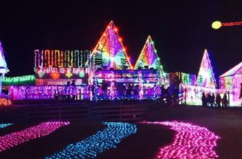 【携程攻略】千叶县东京德国村交通路线,怎么