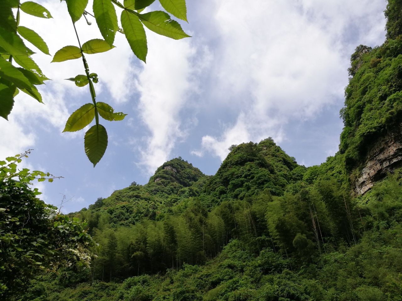 洛口山景区