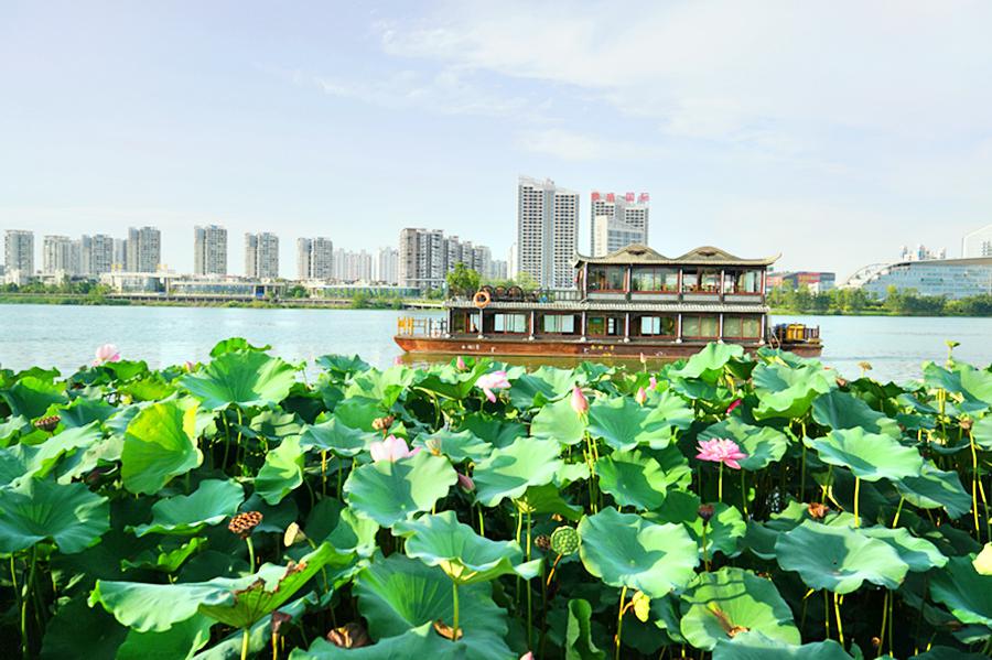 观音湖景区