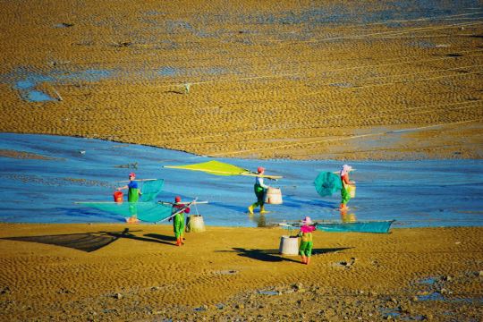 霞浦牛屿滩涂体验景区