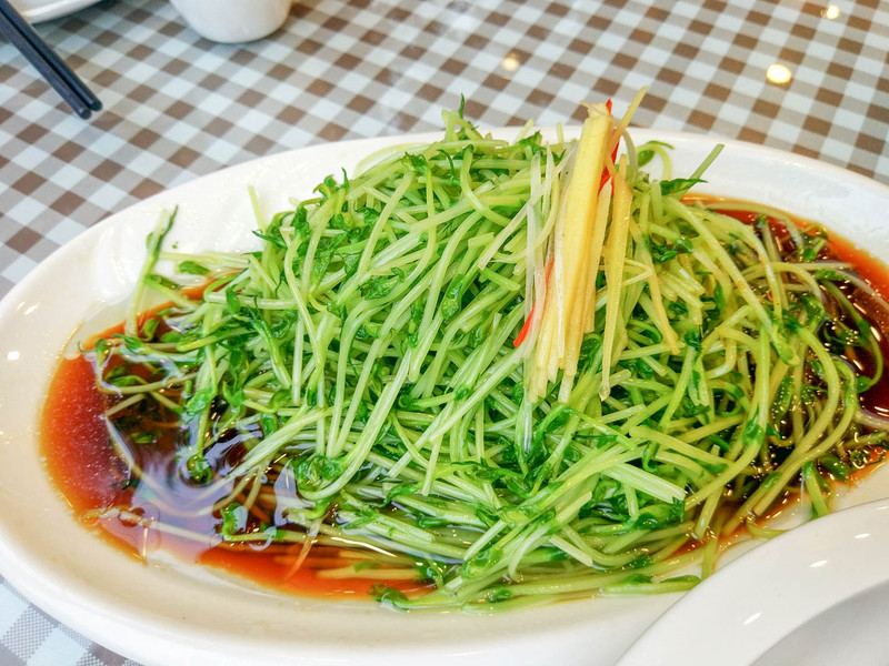 什么时候开始种豌豆苗 100911000000re6z5E719_R_800_10000_Q90.jpg?proc=autoorient