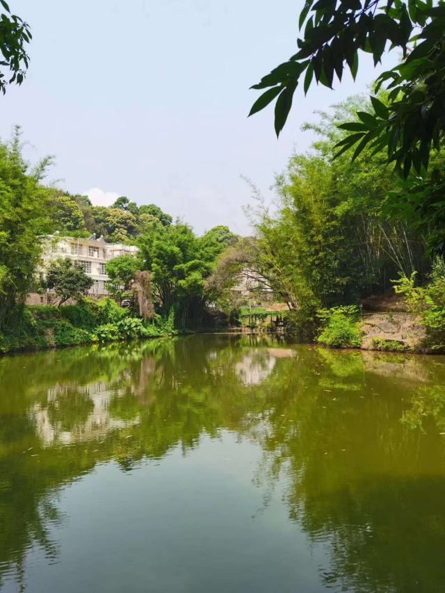 天鹿湖森林公园