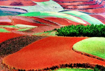 昆明东川红土地一日游【8人小团+二环上门接+特色小吃+中餐】【土著领队：商务团原创阿富专线，懂历史，会聊天，拍得了美拍，做的了网红，带您玩转红土地；】