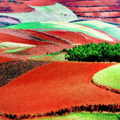 昆明东川红土地一日游【8人小团+二环上门接+特色小吃+中餐】