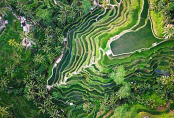 巴厘岛-巴杜尔火山一日游【专车｜京打马尼火山｜梯田】【[私享专车服务]新车配老司机 安心出行】