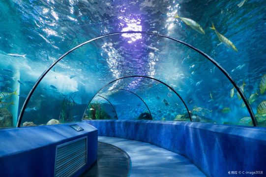 南京自驾游南京十大自驾游景点