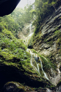 100b0d0000006q5j63517_C_210_318_Q90.jpg