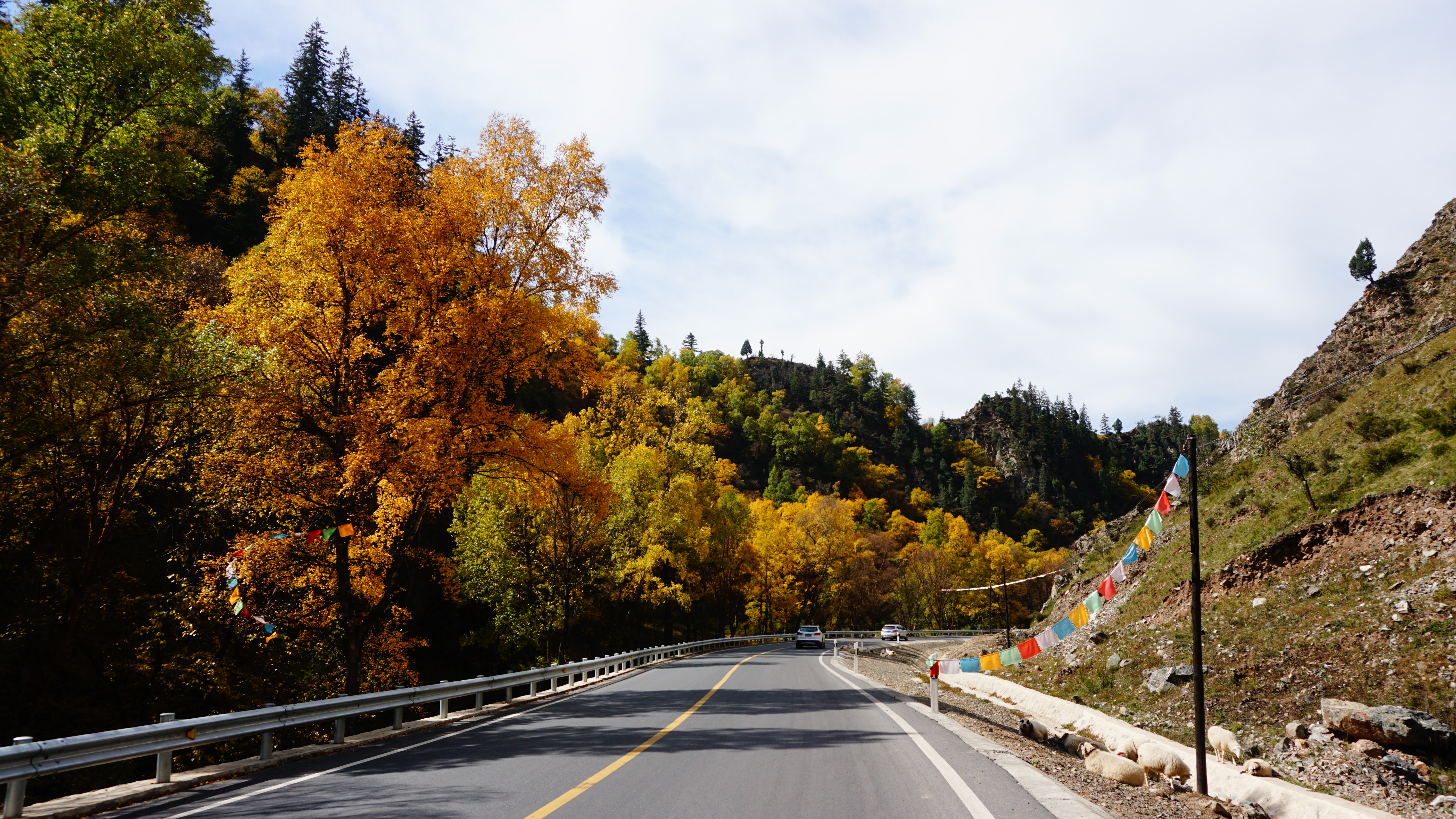 天祝三峡森林公园