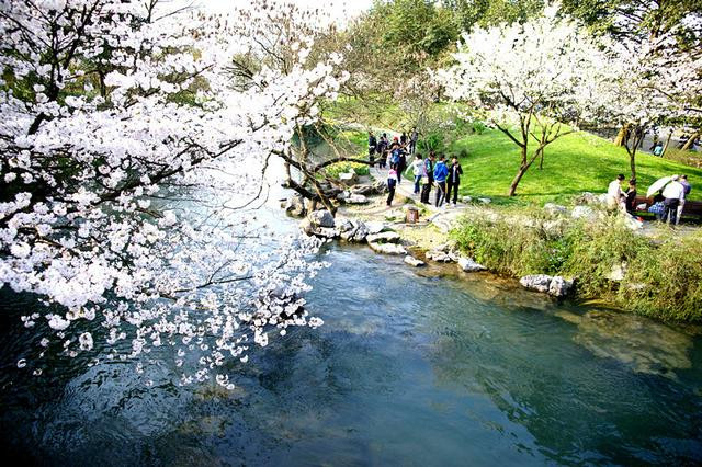 太子湾公园简介 100b0q000000ga1tg3FFE_R_1024_10000_Q90.jpg