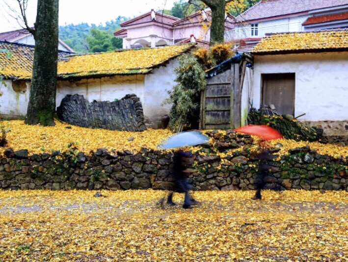 黄坦洞村