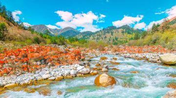 shutterstock_1124001170