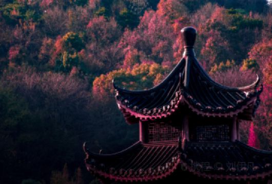 湖南省博物馆+橘子洲头+岳麓山景区一日游【长沙市区一日游专线！】