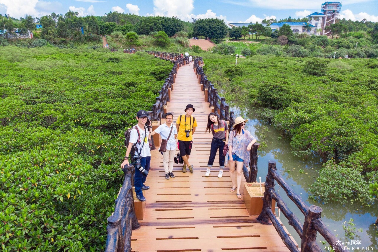 防城港市江山乡石角村珍珠湾红树...