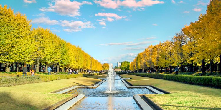 21立川市旅游攻略 7月立川市 Tachikawa 自助游 自驾 出游 自由行 游玩攻略 携程攻略