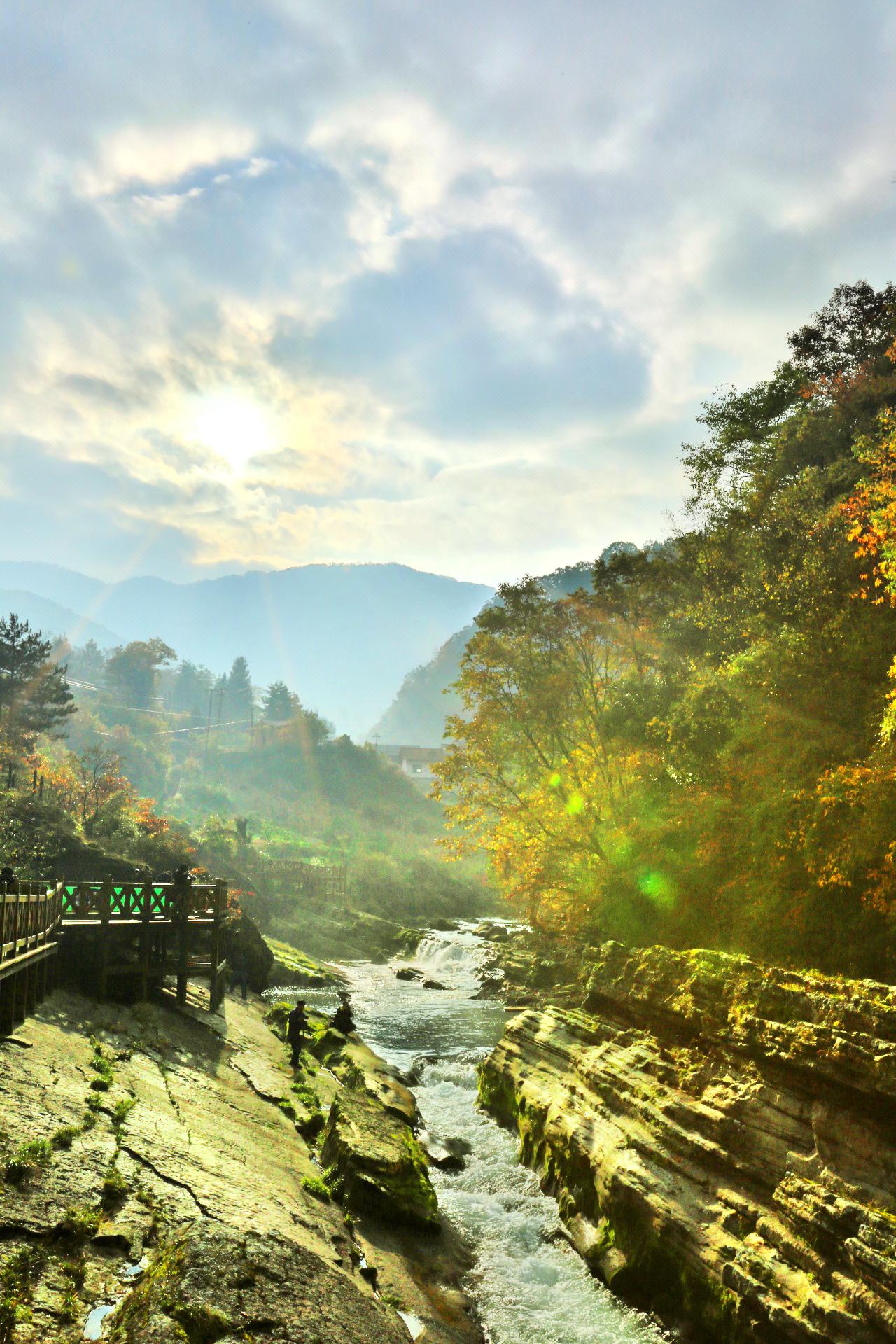 黎坪森林公园