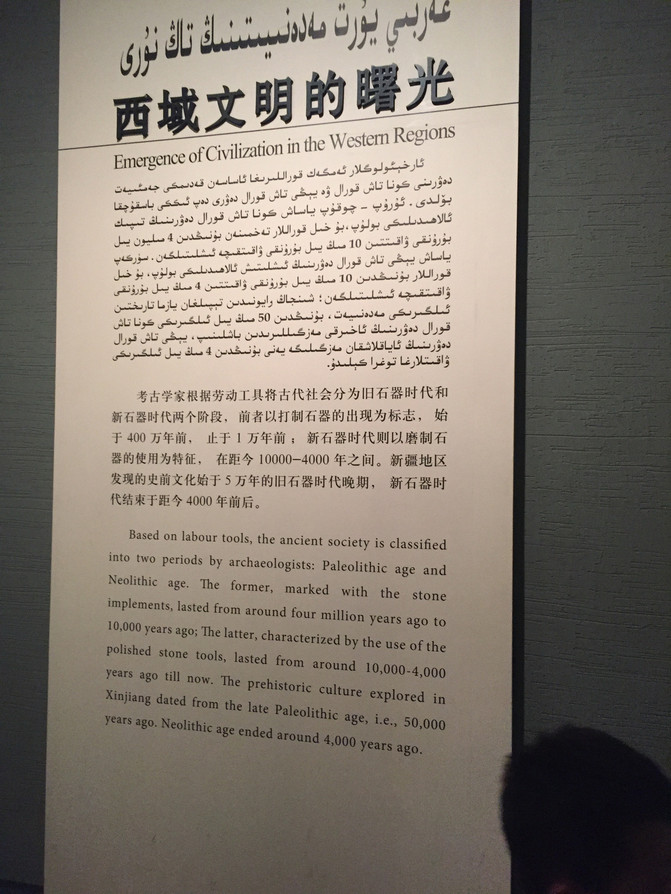 汉族人口占全国人口的百分之几_百分九图片(2)