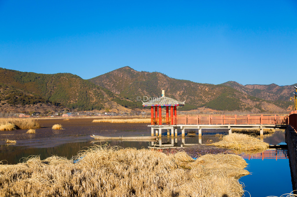 去瀘沽湖旅遊,走婚橋是必去的景點之一,在四川涼山州.