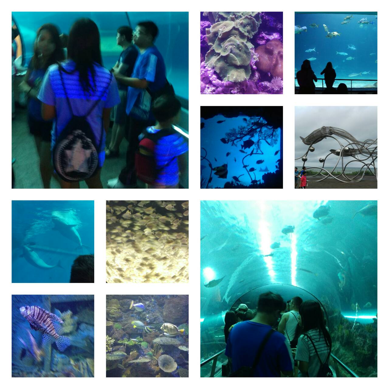 中国海洋大学海洋生物博物馆