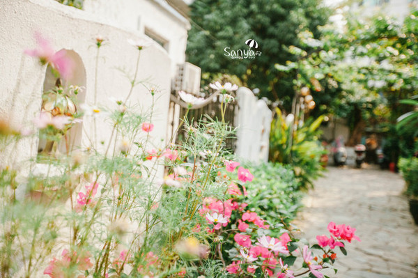 自由行走的花是什么意思 100f090000003w4ad4044_R_1024_10000_Q90.jpg