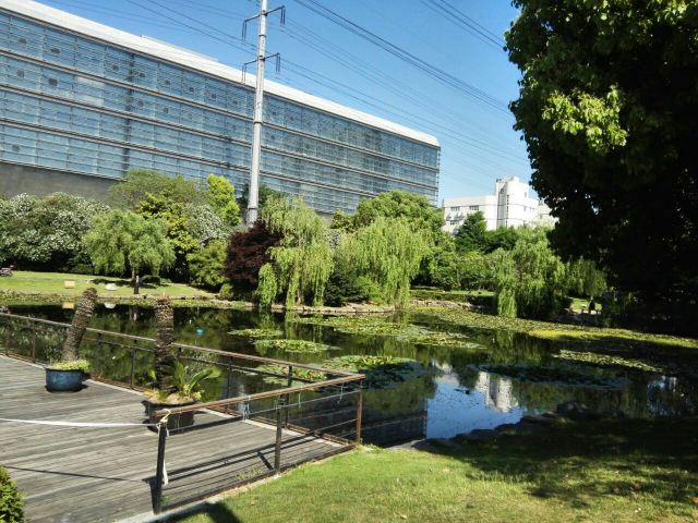 漕河涇開發區公園