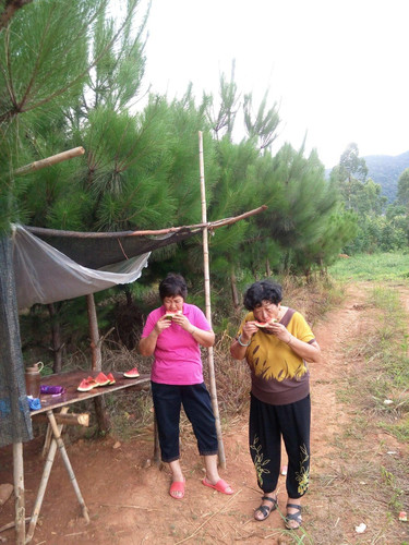 永安有多少人口_永安一家三口惨死家中