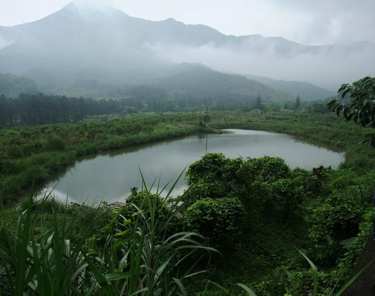 董奉山青湖生态园