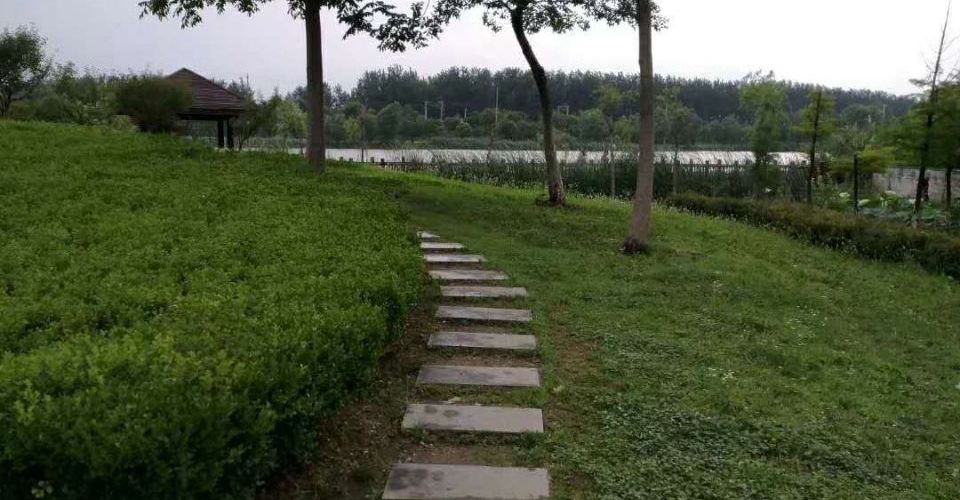 渦陽城西公園 渦陽城西公園旅遊攻略簡介當地玩樂門票酒店一覽 永安旅遊