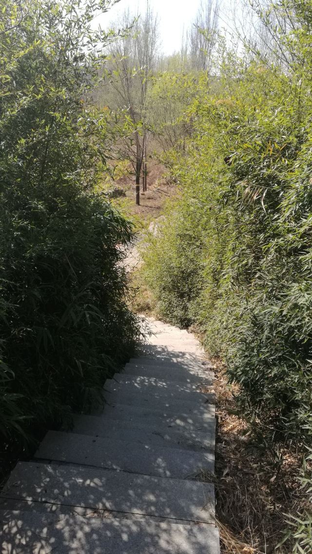 诸城百尺河景区攻略,诸城百尺河景区门票/游玩攻略/地址/图片/门票