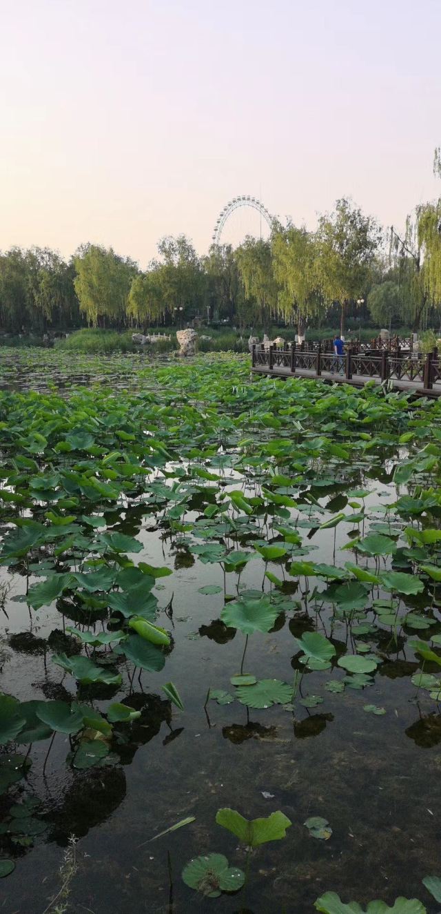 龍潭西湖公園