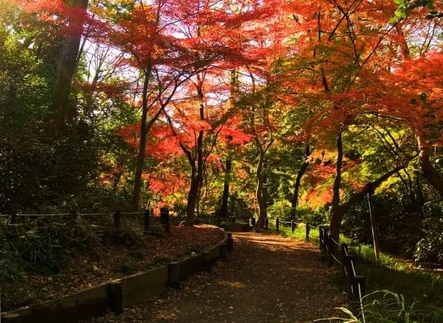 有栖川宫纪念公园