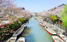 柳川市旅游景点推荐 柳川市旅游必去景点 柳川市景点大全 排名 携程攻略