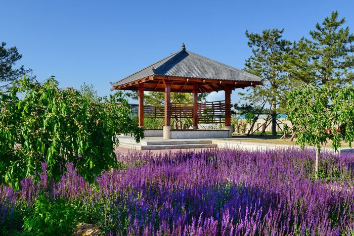 穿过花海走累了,到凉亭休息片刻,躲躲太阳,听听园区放的轻缓小调,真是