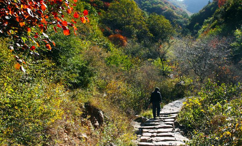 锦山自然生态风景区