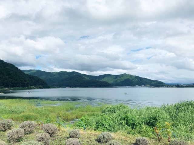 富士河口湖町大石公园攻略 富士河口湖町大石公园门票 攻略 地址 图片 门票价格 携程攻略 富士河口湖町大石公园攻略 富士河口湖町大石公园门票 攻略 地址 图片 门票价格 携程攻略